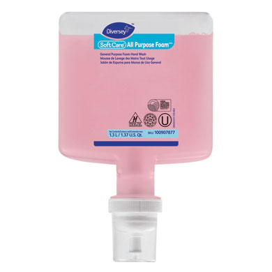 100907877 ALL PURPOSE FOAM HAND CLEANER (6/CS)